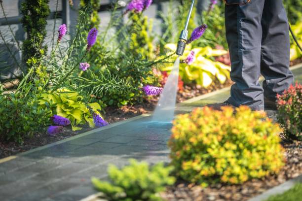 Best Spring Cleaning  in Hartwell, GA